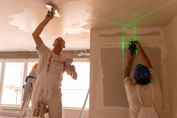 Best Water-Damaged Drywall Repair  in Fort Calhoun, NE